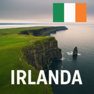 Lee más sobre el artículo Alta participación en la misión Virtual a Irlanda